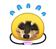 842084770