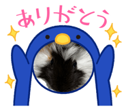 842084949