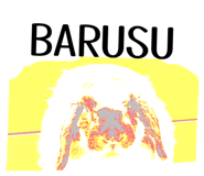842085297