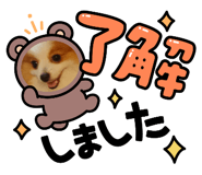 842085951