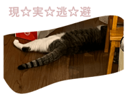 842086024