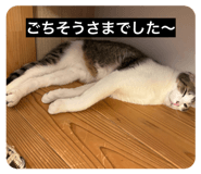 842086038