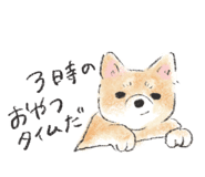 842086089