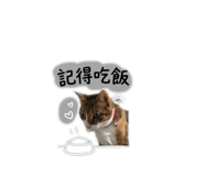 842095962