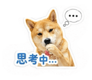 842096080