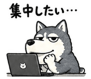 842096917