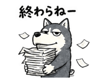 842096918