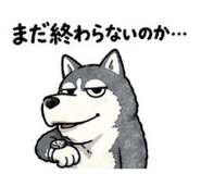 842096921
