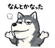 842096926