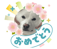 842097180