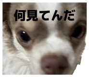 842097399