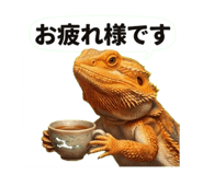 842097618