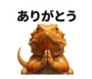 842097619