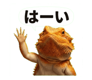 842097620