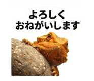 842097622