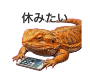 842097632