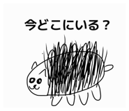 842097951