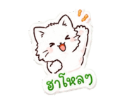 842109441