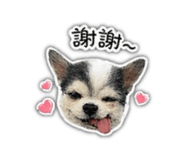 842112482