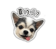 842112488