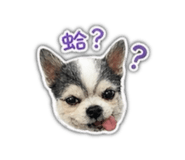 842112489