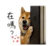 842113063