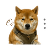 842113064