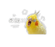 842113163