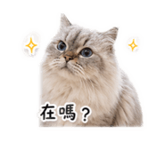 842113759
