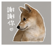 842113904