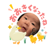 842114381