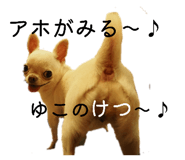 842115227