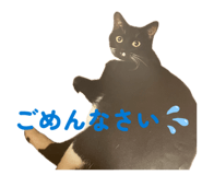 842115269