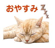 842115340