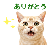 842115343