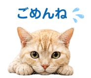 842115345
