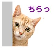 842115348