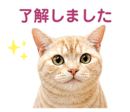 842115350