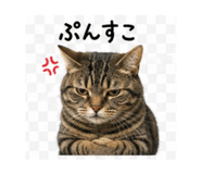 842115378