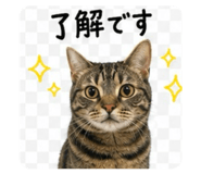 842115384