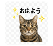 842115391