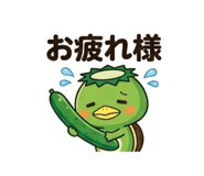 842115416
