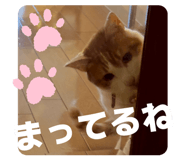 842116275