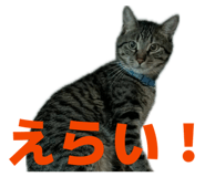 842116284