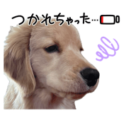 842116505