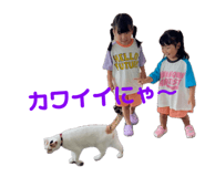 842116690
