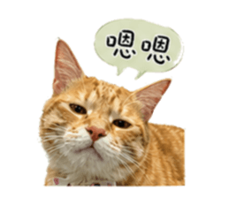 842118545