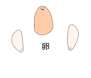 842118750