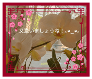 842119057