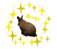 842119096